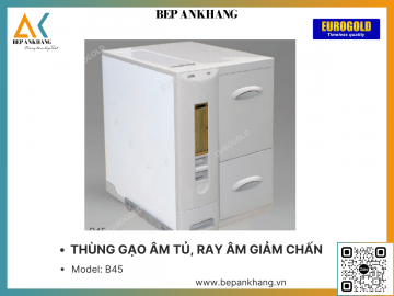 THÙNG GẠO ÂM TỦ, RAY ÂM GIẢM CHẤN EUROGOLD B45 - 300mm